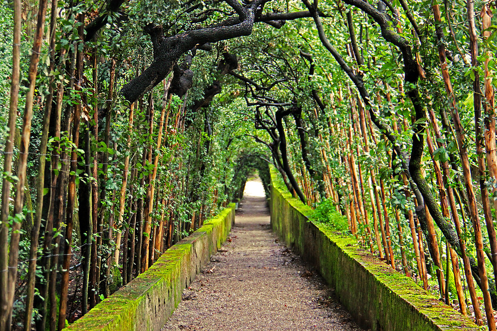 Wander Through Boboli Gardens